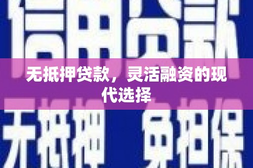 丹寨无抵押贷款，灵活融资的现代选择