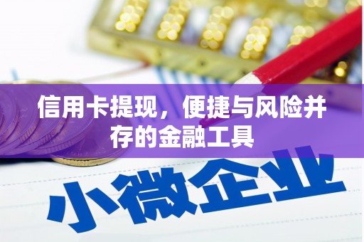 丹寨信用卡提现，便捷与风险并存的金融工具
