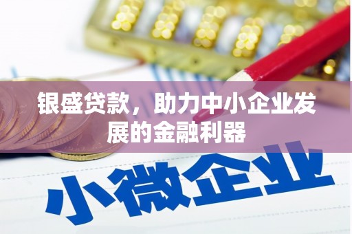 丹寨银盛贷款，助力中小企业发展的金融利器