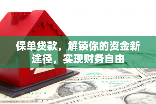 丹寨保单贷款，解锁你的资金新途径，实现财务自由