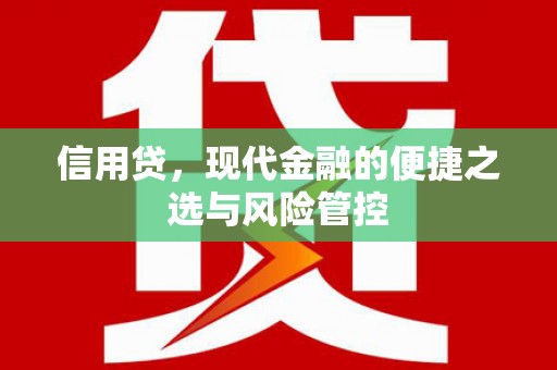 丹寨信用贷，现代金融的便捷之选与风险管控
