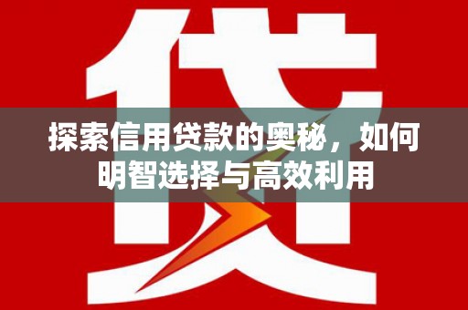 丹寨探索信用贷款的奥秘，如何明智选择与高效利用