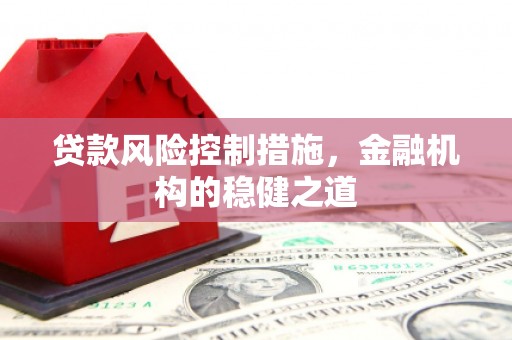 丹寨贷款风险控制措施，金融机构的稳健之道