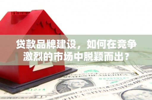 丹寨贷款品牌建设，如何在竞争激烈的市场中脱颖而出？