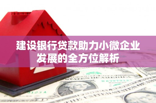 丹寨建设银行贷款助力小微企业发展的全方位解析