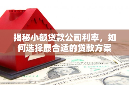 丹寨揭秘小额贷款公司利率，如何选择最合适的贷款方案