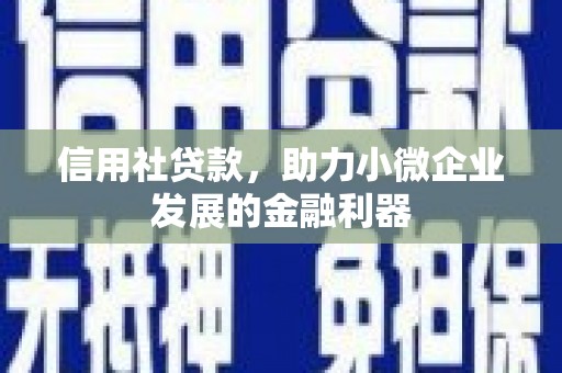 丹寨信用社贷款，助力小微企业发展的金融利器