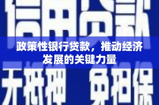 丹寨政策性银行贷款，推动经济发展的关键力量