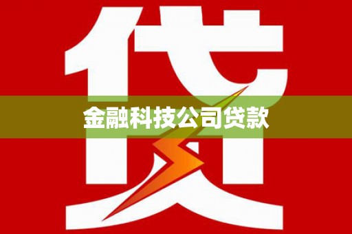 丹寨金融科技公司贷款