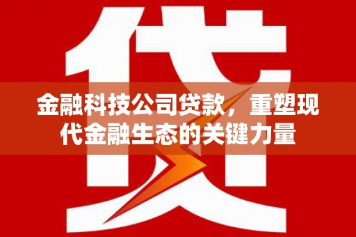 丹寨金融科技公司贷款，重塑现代金融生态的关键力量
