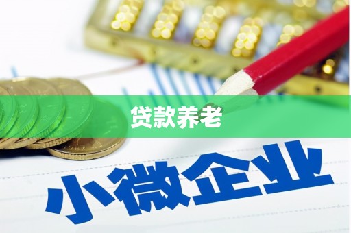 丹寨贷款养老