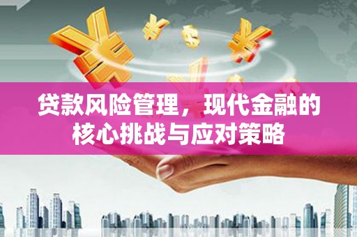 丹寨贷款风险管理，现代金融的核心挑战与应对策略