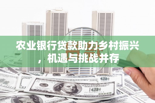 丹寨农业银行贷款助力乡村振兴，机遇与挑战并存