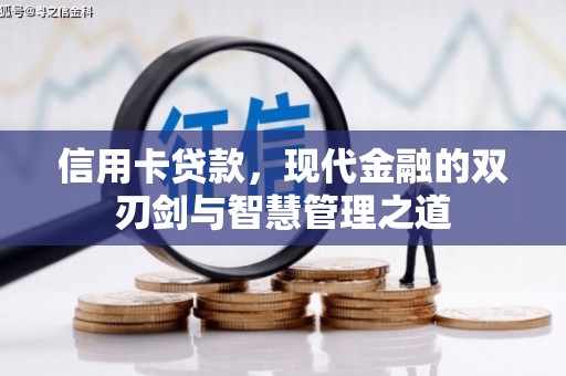 丹寨信用卡贷款，现代金融的双刃剑与智慧管理之道