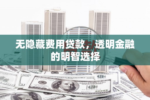 丹寨无隐藏费用贷款，透明金融的明智选择