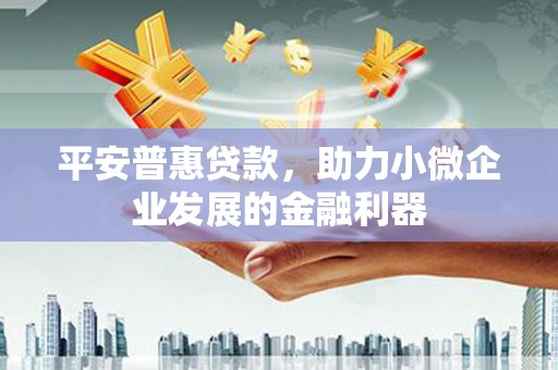 丹寨平安普惠贷款，助力小微企业发展的金融利器