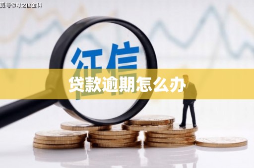 丹寨贷款逾期怎么办