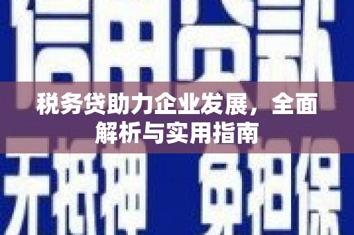 丹寨税务贷助力企业发展，全面解析与实用指南