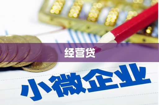 丹寨经营贷