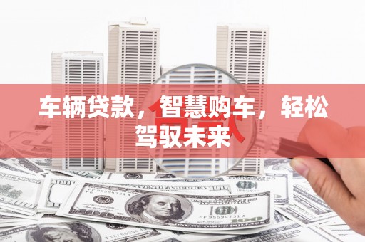 丹寨车辆贷款，智慧购车，轻松驾驭未来