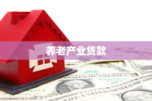 丹寨养老产业贷款