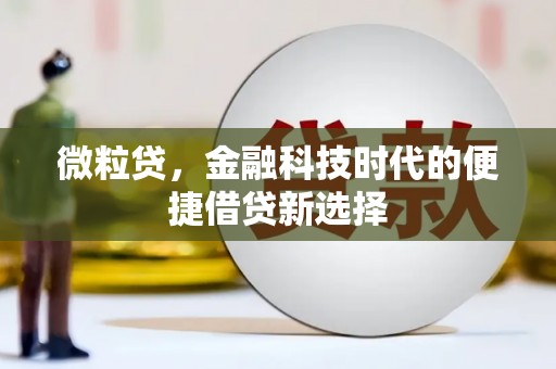 丹寨微粒贷，金融科技时代的便捷借贷新选择