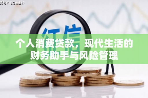 丹寨个人消费贷款，现代生活的财务助手与风险管理