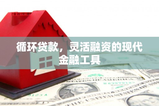 丹寨循环贷款，灵活融资的现代金融工具