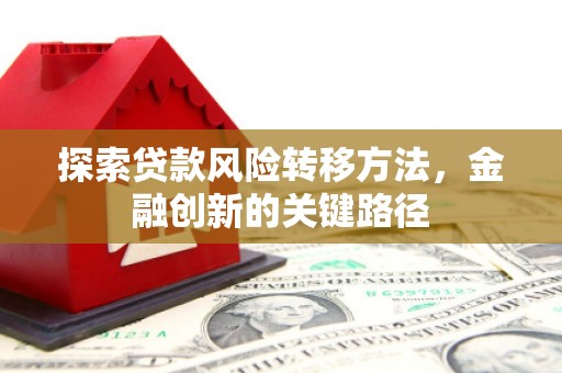丹寨探索贷款风险转移方法，金融创新的关键路径