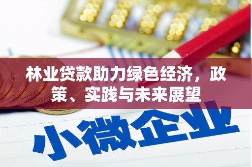 丹寨林业贷款助力绿色经济，政策、实践与未来展望
