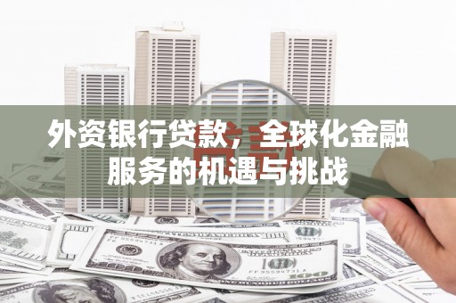 丹寨外资银行贷款，全球化金融服务的机遇与挑战