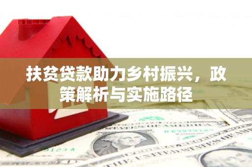丹寨扶贫贷款助力乡村振兴，政策解析与实施路径