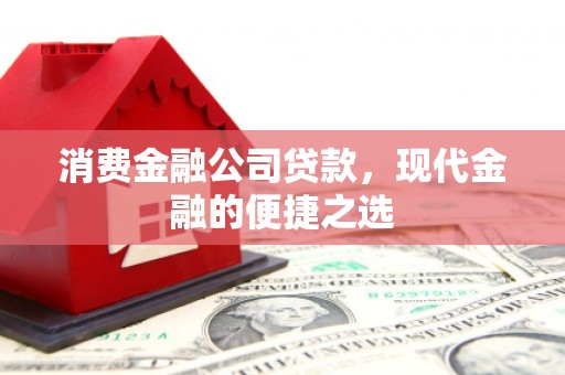 丹寨消费金融公司贷款，现代金融的便捷之选