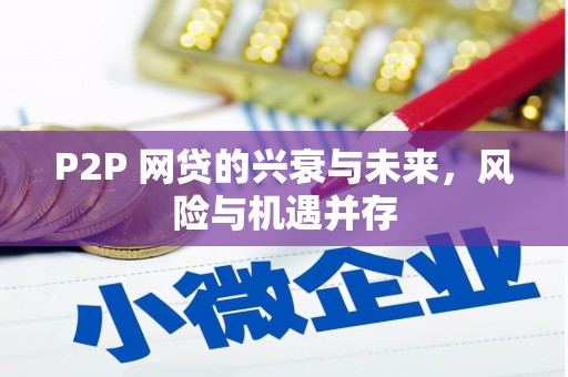 丹寨P2P 网贷的兴衰与未来，风险与机遇并存
