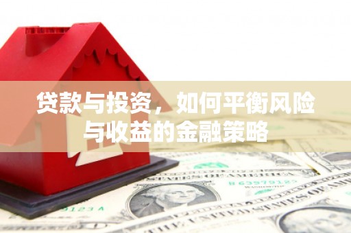 丹寨贷款与投资，如何平衡风险与收益的金融策略