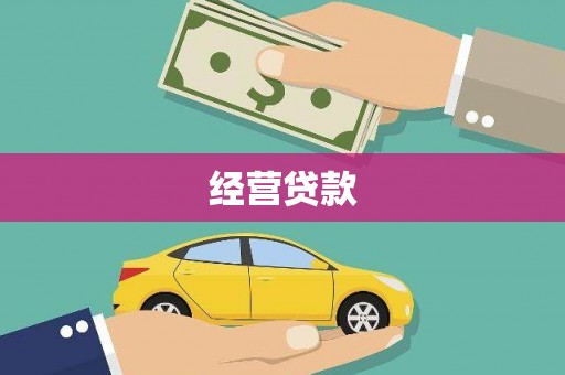 丹寨经营贷款
