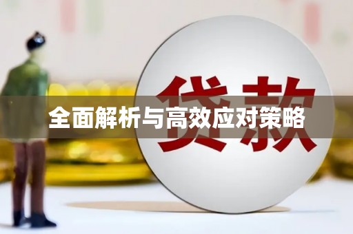 丹寨全面解析与高效应对策略
